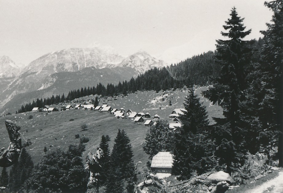 eika image